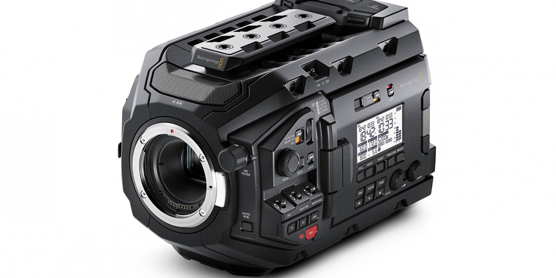 Ursa_1289